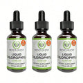Miriyalyad Chlorophyll Supplement, Detox & Immune Support, Internal Deodorizer - Liquid Drops, Natural Mint Flavor, 4 Month Supply, 59ml[Free Shipping ]